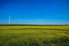 Paysage fleuri éoliennes